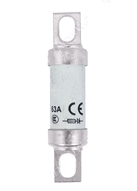 lot 1019069 image: Generic 1 Pcs 63FE AC Fuse 63 Amp 690V Type T Fuse - Retail $8