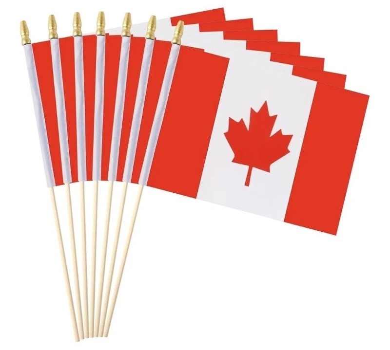 lot 1022522 image: 12 Pack Canadian Flags on Sticks Canada Small Mini Hand Held Flags for Office Classroom Holiday Party Decorations - 3 Pack - Retail $30