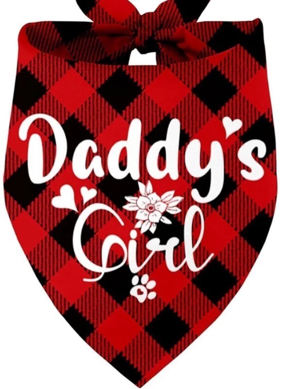 lot 1193374 image: Daddys Girl Dog Bandana - Printed Pet Scarf Accessories for Small, Medium & Large Dogs - Perfect for Dog Birthday, Christmas & Fathers Day Parties - Retail $5