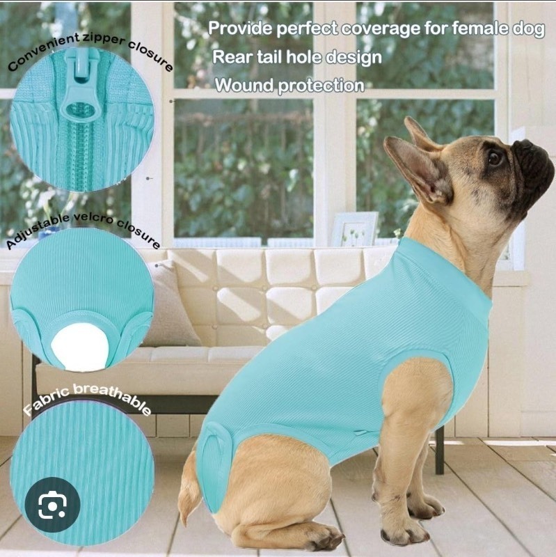 lot 1193434 image: Wabdhaly Dog Surgery Recovery Suit for Female Spay Male Neuter,Puppy Surgical Recovery Zip Up Suit,Anti-Licking Bodysuit for Abdominal Wounds,Cone Alternative Recovery Blank Suit for Dogs X-Large Grey