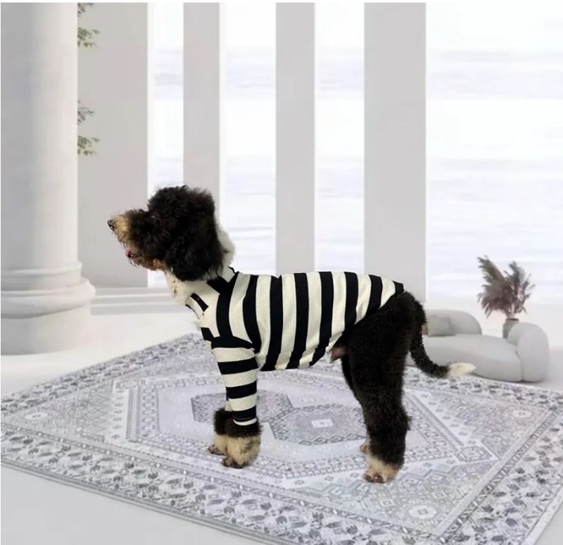 lot 1193439 image: Dog Shirt Cotton Striped Puppy Clothes Dogs Cats Breathable Soft Pajamas Pet T-Shirt Dog Fashion Apparel for Small and Medium Large Pets(BlackWhite,X-Large) - Retail $36