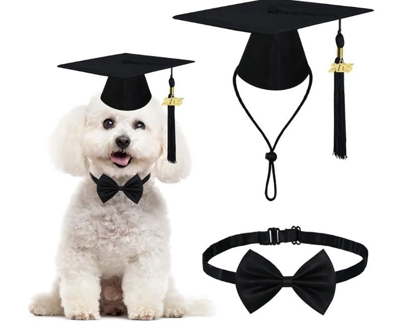 lot 1194108 image: Dog Graduation Cap and Bow Tie Collar, Adjustable Dog Graduation Outfit with Black Tassels 2025 Charm Formal Dog Bowtie for Dogs Pets (Graduation Cap & Bow Tie Collar) - Retail $12