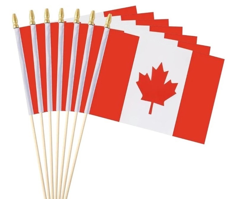 lot 1194143 image: Canadian Flags on Sticks Canada Small Mini Hand Held Flags for Office Classroom Holiday Party Decorations French Flag Set Included 60Pcs - Retail $60