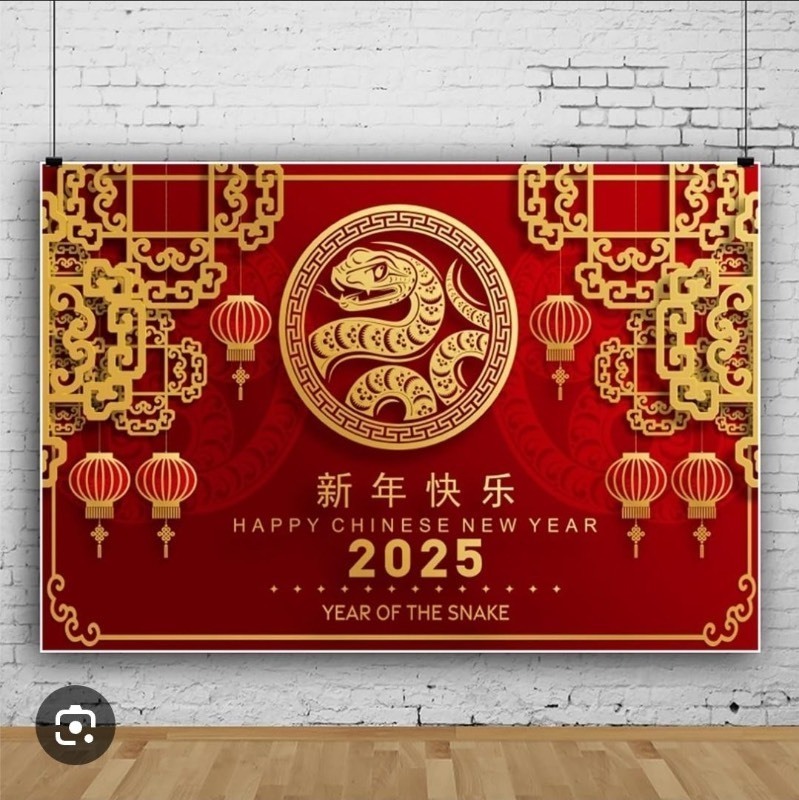 lot 1194156 image: 2025 Happy Chinese New Year Banner Backdrop 10x8FT Red Lanterns Year of The Snake Photography Background Traditional Spring Festival Decoration for Holiday Party Supplies - Retail $12
