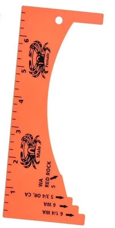lot 1194205 image: Lakei Crab Gauge, Measure for Dungeness, Blue Crab, Rock Crab, Lobste - Retail $12