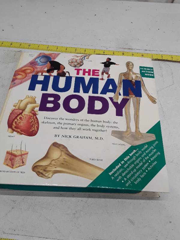 lot 32754 image: The Human Body
