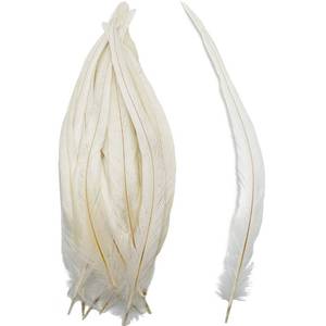 lot 12293 image: 50pcs White Long Rooster Coque Tail Feathers 12-14Inches for Hat Costume Decoration Crafts Wedding Feather Party DIY Decoration