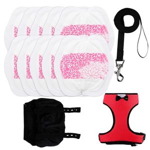 lot 12055 image: Yesito Adjustable Chicken Harness Diaper (5.4ft Leash) �� Breathable & Washable Secure Training for Hens, Ducks & Chicks  Outdoor Walking & Discipline Solution