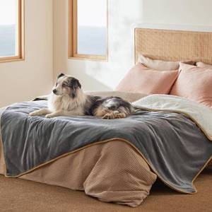 lot 5344 image: Bedsure Waterproof Blanket for Bed - Sherpa Fleece Waterproof Dog Blankets for Large Dogs, Pet Blankets for BedCouch, Soft Plush Reversible Furniture Protector, Twin Size, 80x60, Grey