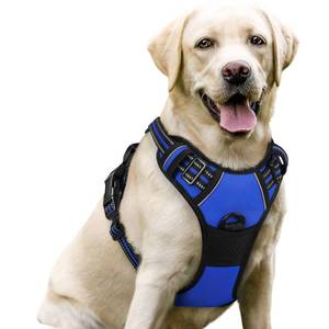 lot 2087 image: rabbitgoo Dog Harness No Pull with 2 Leash Clips, Adjustable Soft Padded, Reflective Oxford No Choke Pet Vest with Easy Control Handle for Large Dogs, Dazzling Blue, L