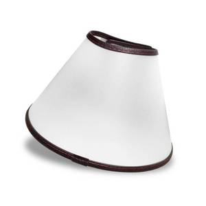 lot 18356 image: Felicey Adjustable Dog Elizabeth Collar - Latest Upgrade Pet Protective Cone With Soft Edge for Anti-Bite Lick, Surgery or Wound Healing (M)