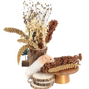 lot 18371 image: NICERINC PET Natural Ear of Grain Flower&Herb Bedding Mate Habitat Decor, Adding Fun Hamster Accessories for Hamsters Gerbils Lemming