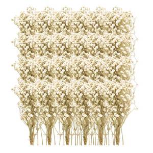 lot 20139 image: 50 Pieces Dried Babys Breath Flower Mini Dry Flowers Bouquet 3D Stereo Primary Colours Baby Breath Artificial Flower White Wedding Plants for DIY Resin Crafts Napkins Invitations Home Decor