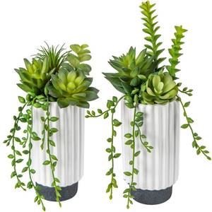 lot 1481 image: Hollyone Artificial Succulents Plants Set of 2 Faux Succulents 9 Fake Succulent Plants in Ceramic Pot Succulent Plant for Desk Modern Home Living Room Office Table Shelf Bathroom Decorin