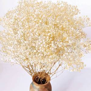 lot 2370 image: 4000 Dried Babys Breath Flowers Bulk - 17.2 Ivory White Dried Flowers Bouquet, Natural Gypsophila Branches for Vase Filler, Wedding, Home, Table Centerpiece Decor, Dry Flowers Bulk for DIY, Partyin