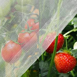lot 17467 image: Unves Garden Netting, 10 x 30 Ft Garden Mesh Mosquito Netting, Reusable Plant Cover Bug Insect Brid Net for Protecting Vegetables Fruits Trees Flowers Blueberries Tomatoes