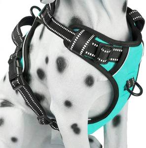 lot 20171 image: PoyPet No Pull Dog Harness, Reflective Comfortable Vest Harness with Front and Back 2 Leash Attachments and Easy Control Handle Adjustable Soft Padded Pet Vest for Small to Large Dogs (Mint Blue,XL)