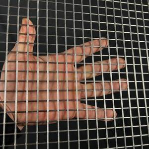 lot 7868 image: $80 Stainless Steel Hardware Cloth 40x20-12 14Ga Welded Wire Fence