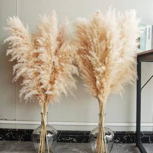 lot 8045 image: 40 inch 10 Stems Natural Pampas Grass Decor Tall, Pompas Grass