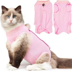 lot 8126 image: Cat Recovery Suit, Kitten Onesie Bodysuit, Cone Alternative M