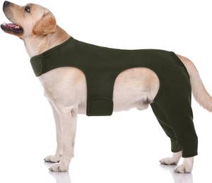 lot 8158 image: ROZKITCH Dog Hind Leg Sleeve Rear Legs, Green L, prevent licking.