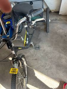 lot 41250 image: iZip Adult Tricycle