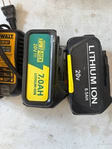 lot 41330 image: DeWalt 20V universal Battery and Charger Set
