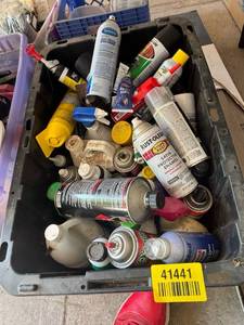 lot 41441 image: Assorted Automotive Chemical Products Lot