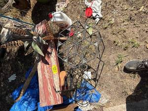lot 41492 image: Vintage Metal Bicycle Plant Stand with Wooden bench