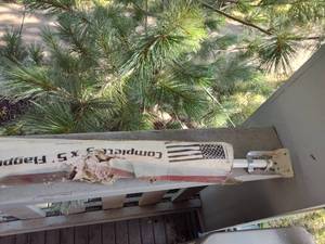 lot 222 image: Complete 3 x 5 Flagpole kit.