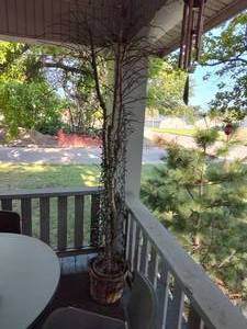 lot 230 image: 83 Faux tree.