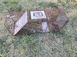 lot 238 image: Animal trap.