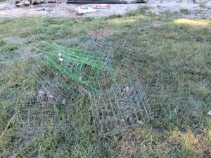 lot 247 image: Tomato cage.