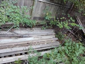 lot 255 image: Stack of wood.