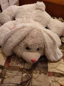 lot 675 image: Stuffed Dog Toy.