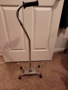 lot 714 image: Cane.