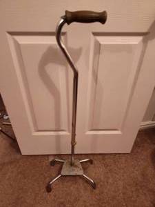 lot 715 image: Cane.