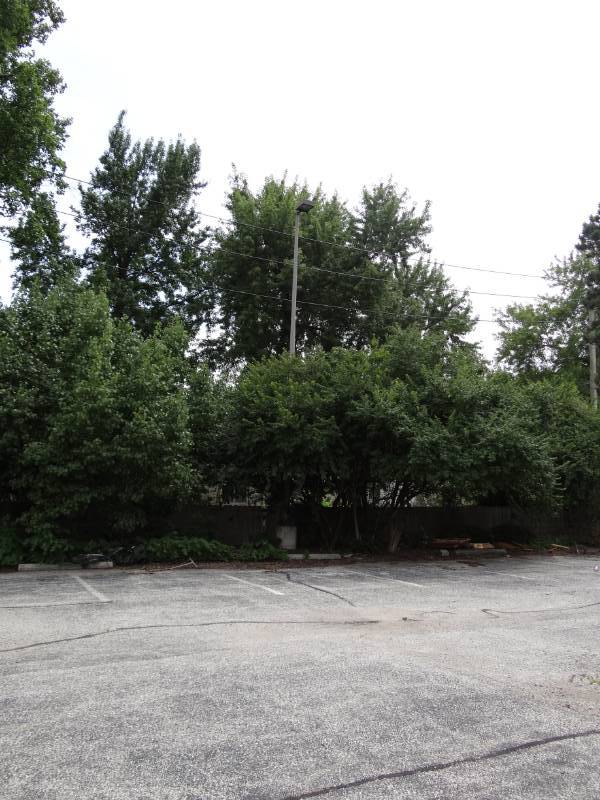 lot 4295 image: 30 Ft Single Light Pole