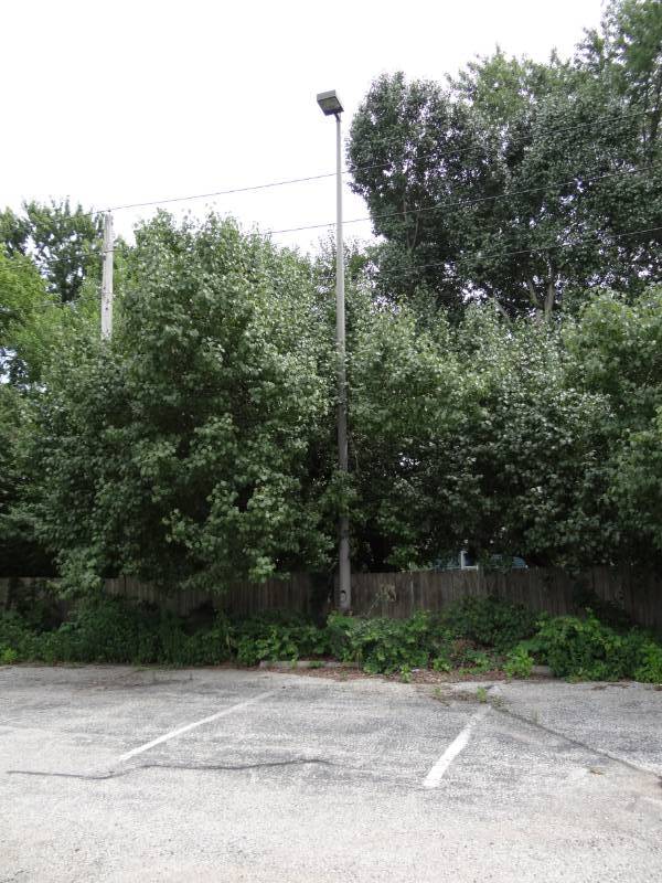 lot 4296 image: Lot of (1) 30FT Light Pole