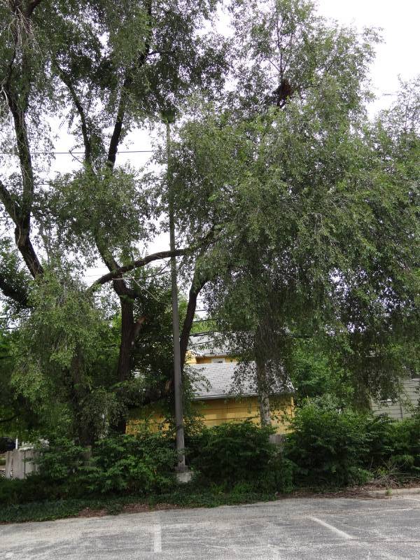 lot 4297 image: Lot of (1) 30FT Light Pole