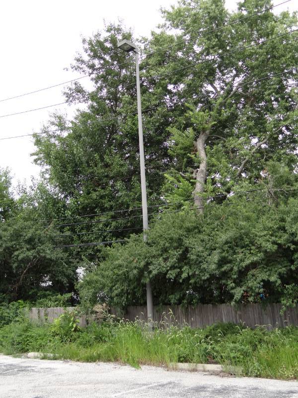 lot 4298 image: Lot of (1) 30FT Light Pole