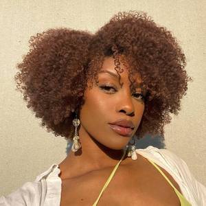lot 2061 image: Fancy Hair Short Kinky Curly Wigs Brown Side Part Afro Wigs for Black Women Synthetic Yanky Twist Out Wig Natural Hairstyle for Daily Use (30#) - Retail $32