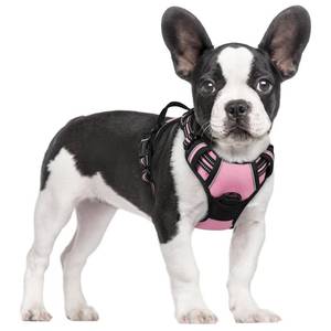 lot 2434 image: rabbitgoo Dog Harness No Pull with 2 Leash Clips, Adjustable Soft Padded, Reflective Oxford No Choke Pet Vest with Easy Control Handle for Small Dogs, Pink, S - Retail $19