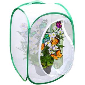 lot 6271 image: SunGrow Foldable Butterfly Habitat, 24 Butterfly Cage for Caterpillars, Create Farm, Enclosure for Breeding Soldier Fly, Ladybug, Dragonfly, or Housefly for Chicken and Reptile Feed, Green - Retail $19