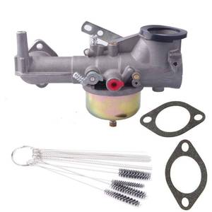lot 6314 image: Dosens 491590 Carburetor Compatible for Briggs & Stratton 390811 392152 Carb Fits Briggs & Stratton 190702 190701 190705 190706-2179 191700 192700 193700 Engines with Cleaning tool kit - Retail $25
