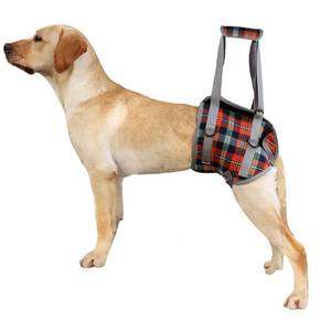 lot 6373 image: ROZKITCH Dog Lift Harness, Grid Pet Rear Support Aid Veterinarian Approved Sling for Old K9 Help With Poor Stability, Back Leg Hip Disabled Joint Injury Elderly Arthritis ACL Rehabilitation Rehab - Retail $31