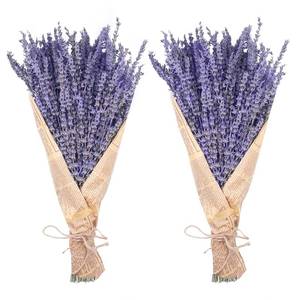 lot 12084 image: Dried Lavender Bundles, Uieke Natural Dried Lavender Flowers 280-300 Stems 16 for Home Weeding Decoration Flower Arrangements Home Fragrance 2 Bundles - Retail $13