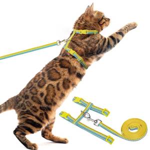 lot 12141 image: PUPTECK Adjustable Cat Harness and Leash Set Escape Proof Kitten Strap Collar for Walking Travel, Yellow Blue - Retail $10