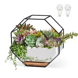 lot 19202 image: ChiRee Succulent Planters 7 x 3.5 Inch Decorative Ceramic Flower Plant Pots with Metal Holder Hanging and Place Dual-Purpose Garden Planter Pot with Drainage and Saucer for Indoor Home Office Desktop - Retail $19