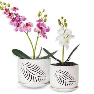 lot 1064 image: LITUDISO Orchid Pots with Holes, 56 Inch Orchid Pot, Ceramic Plant Pots for Plants Lovers, Enhance Good Ventilation and Drainage, IndoorOutdoor Orchid Pots for Repotting - Retail $25